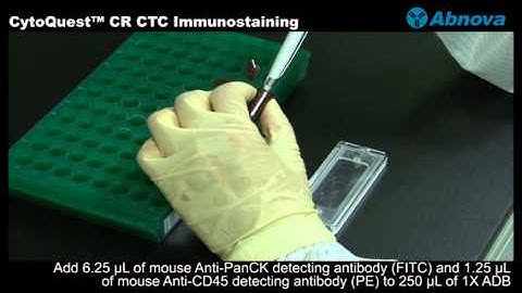 CytoQuest™ CR CTC Immunostaining
