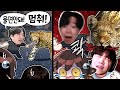 탬탬버린 아니 표범 입마개 하고 다니시라구요 탬탬버린 아니 표범 입마개 하고 다니시라구요