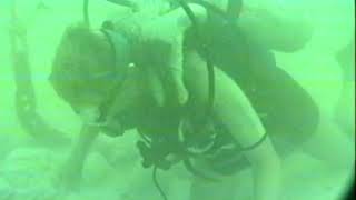 Diver, KT Budde-Jones on the Nuestra Señora de Atocha site; finding galleon spike in berm.