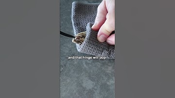 How to Shuck Oysters