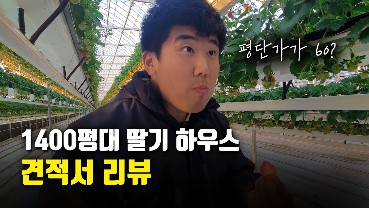 견적서 공개! 풀옵션이 들어간 고정행잉 딸기시설의 가격은?