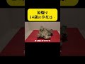 原爆で人の手と骨とガラスがくっつく