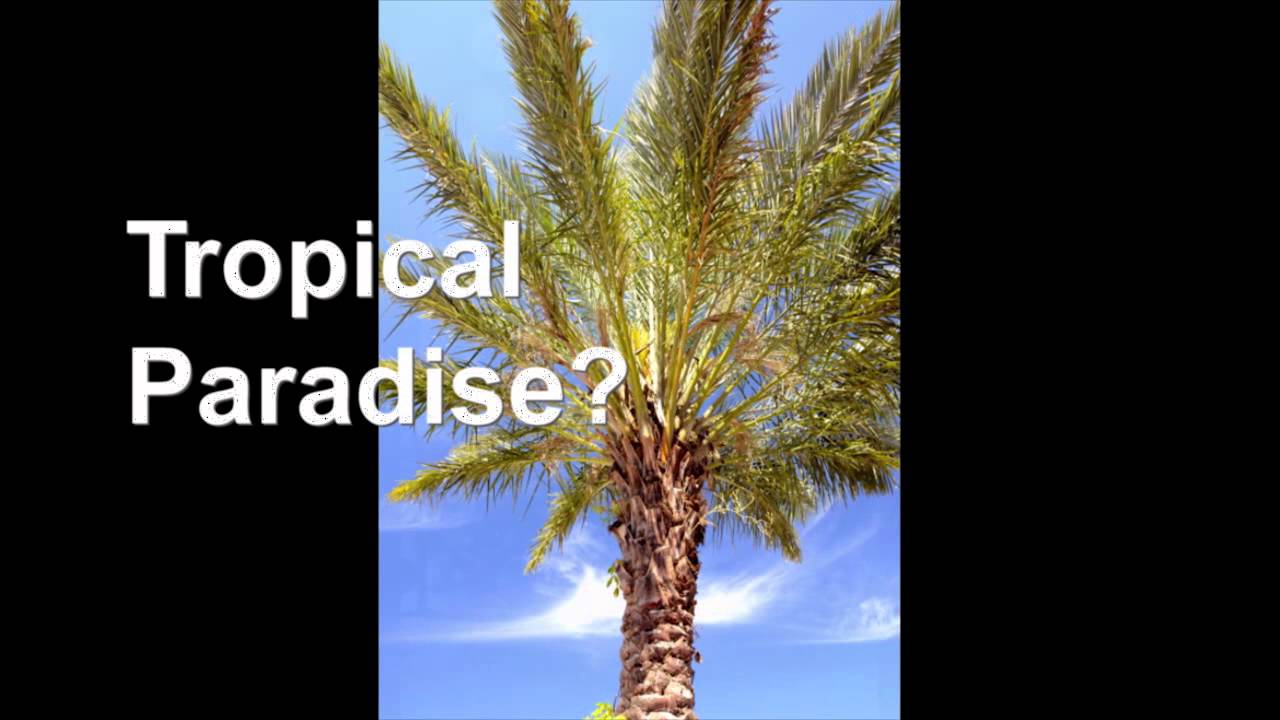 KinderJet Discuss Holiday Travel