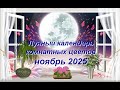 Лунный календарь комнатных растений и цветов на ноябрь 2025 года