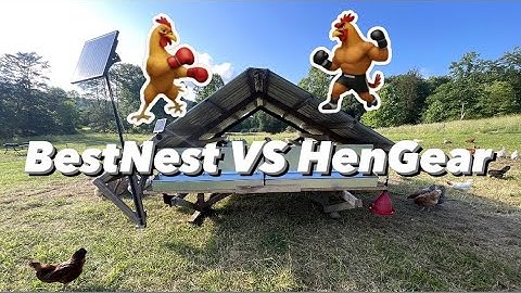 Best Nest VS HenGear Rollout Nest Box