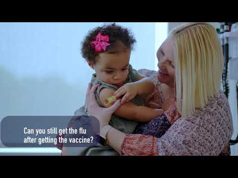 Understanding the Flu