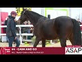 Lot 44  cash and go