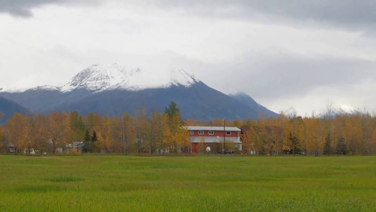 Farm of Palmer in ALASKA YouTube