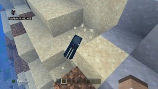 Rare baby squid in minecraft
