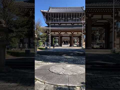 「東別院」お彼岸のお参り。参道から山門の様子、2024.9.23朝撮影。正式名称は「真宗大谷派名古屋別院」、宗祖は親鸞聖人。立派なお寺。お彼岸で境内には露店がいくつか出ていて参拝客もいつもより多め。