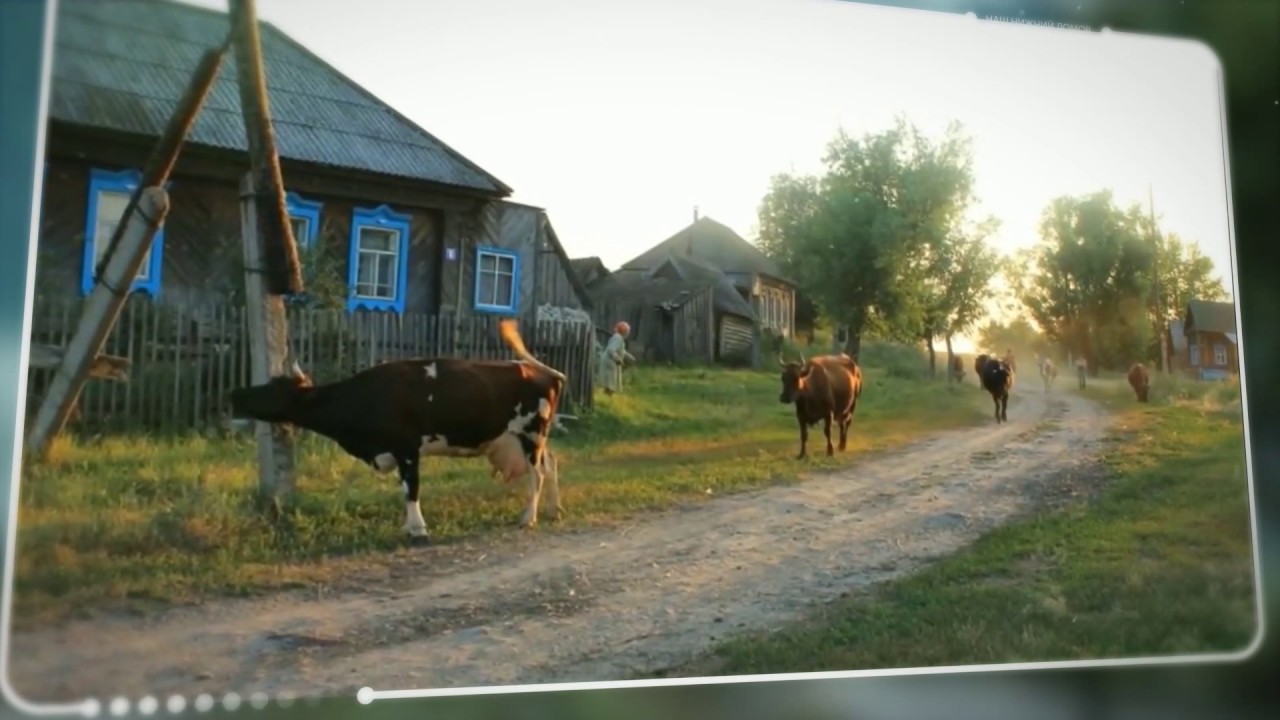 До слез про деревню. Прощай деревня. Ах село мое село. Деревня грусть. Песня про деревню.