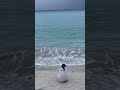 【癒し】①Dear overworked soul. Finding the "right way to rest" by the sea of Okinawa（頑張りすぎたあなたへ）