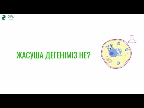 Video: Зоологиядагы Деторсия деген эмне?