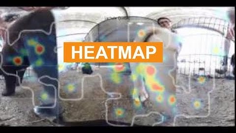 Heatmap animal video from a 360 video for viewing in Virtual Reality by This Is Me In VR