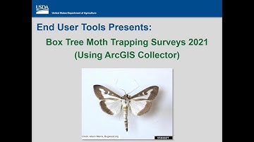 BTM 2021 Trapping Surveys - Using ArcGIS Collector (Box Tree Moth)