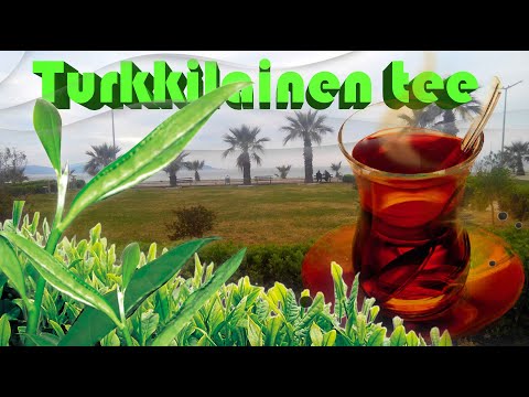 Turkkilainen tee / Turkin Uutiset  ᴴᴰ