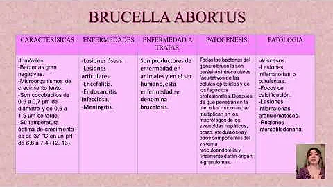 Brucella Abortus