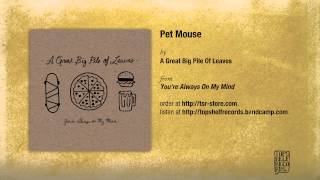 A Great Big Pile of Leaves - Pet Mouse chords