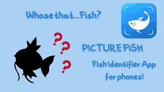 Can this Fish Identifier App really tell what fish you caught? ( Picture Fish ) screenshot 3