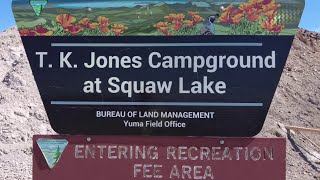 Water in the Desert: Camping Squaw Lake & Senator Wash (March 2023)