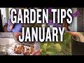 Winter Garden Tips and Projects: P. Allen Smith (January)