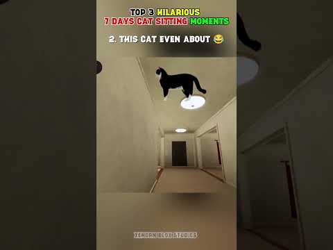 7 Days Cat Sitting: Worst Job Ever 💀 (Pt. 44) #roblox #robloxshorts