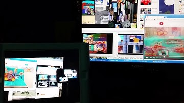 Way more Annoying Gooses