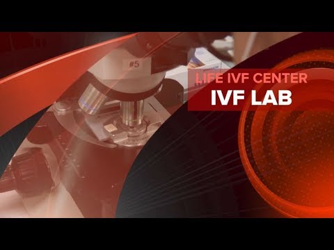 Life IVF Center - IVF Lab