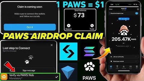 Paws Verify via PAWS Web New Task | How to Connect Solana wallet in Paws | Paws Airdrop Claim Task
