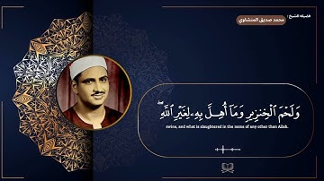سوره البقره " صفحه 25 " | الورد اليومي بصوت الشيخ محمد صديق المنشاوي 🖤