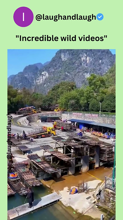 Machine Mastery: The Most Satisfying Moments (Ep. 35) #shorts #satisfying