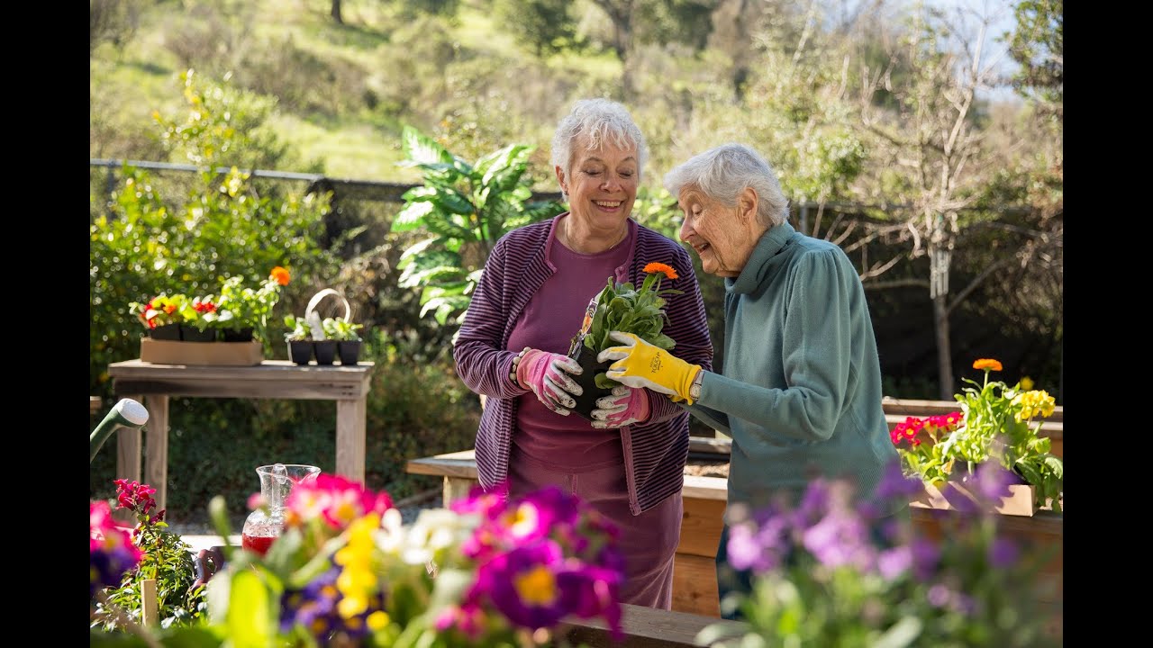 Experience Life at Drake Terrace YouTube