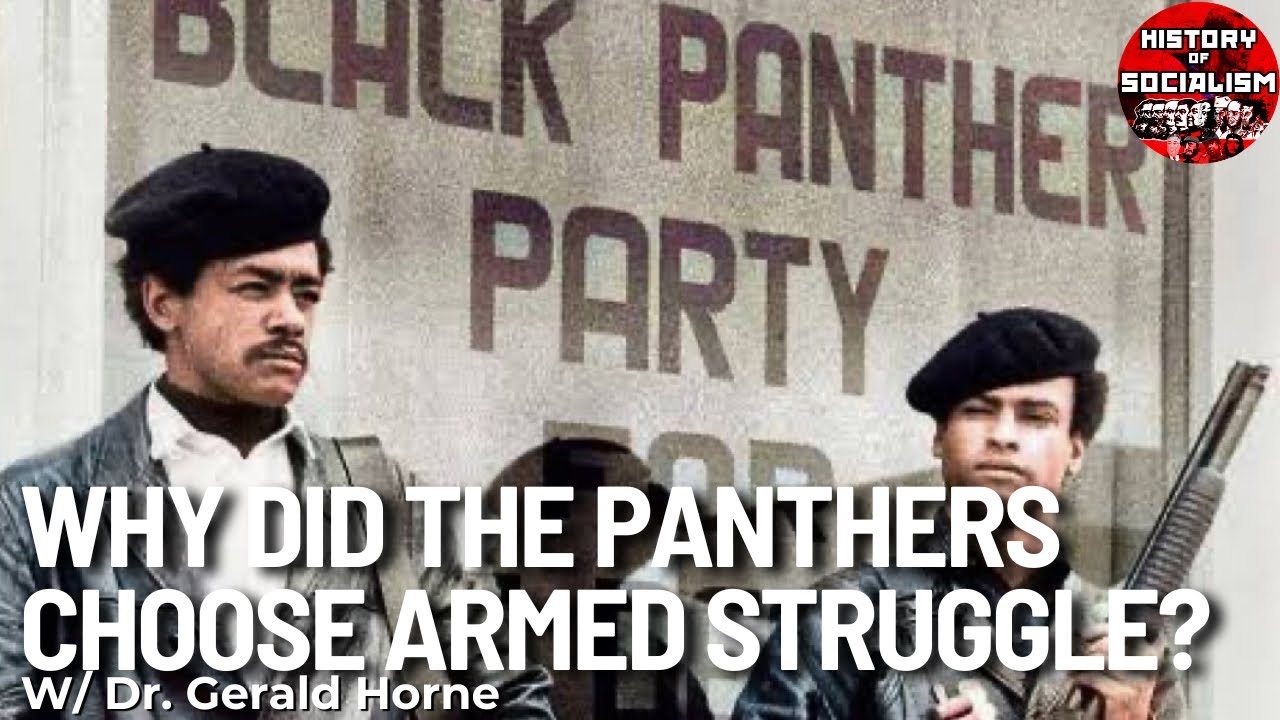 Why Did the Black Panther Party and Other Groups Engage
