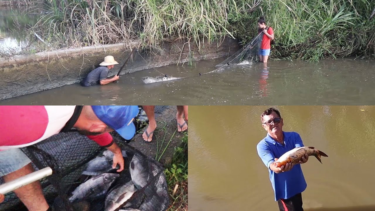 MAIS UM DIA DE PESCARIA, SEQUEI UM DOS POÇOS PARA PEGAR TODOS OS PEIXES