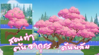 สอนทำต้นซากุระ ต้นพลัม ต้นบ๊วยจีน screenshot 5