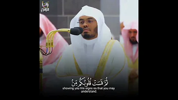 و إ ذ ق ت لت م ن فس ا ف اد ار أت م فيها و الل ه م خر ج ما ك نت م ت كت مون تلاوة ياسر الدوسري 