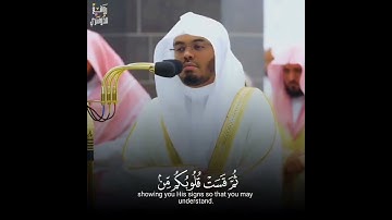 وَإِذ قَتَلتُم نَفسًا فَادّارَأتُم فيها وَاللَّهُ مُخرِجٌ ما كُنتُم تَكتُمونَ۔ #تلاوة ‎#ياسر_الدوسري