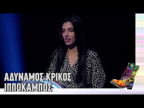 Βίντεο: Καταπληκτικοί ιππόκαμποι