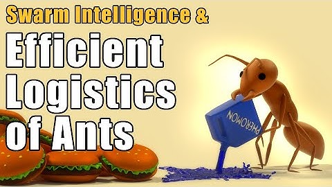 Efficient Logistics of Ants & Swarm Intelligence | #VeritasiumContest