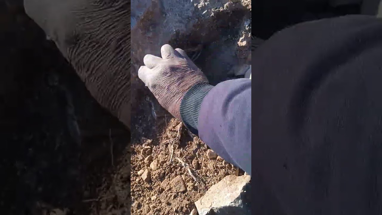 ٢٦ فبراير ٢٠٢٦