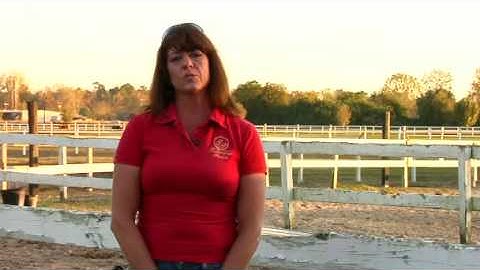 How to Do a Rollback