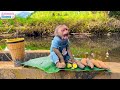 Farmer Obi obediently harvests fruit to eat