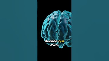 Decoding Humanity: Mouse Brain Mapping Unveils Secrets #science #health #body #biology #chemistry
