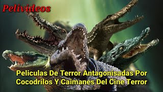 Peliculas De Terror Con Cocodrilos Y Caimanes Asesinos | Pelivideos Oficial  - YouTube