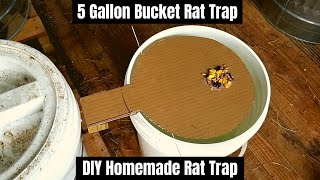 5 Gallon Bucket Rat Trap || DIY Homemade Rat Trap