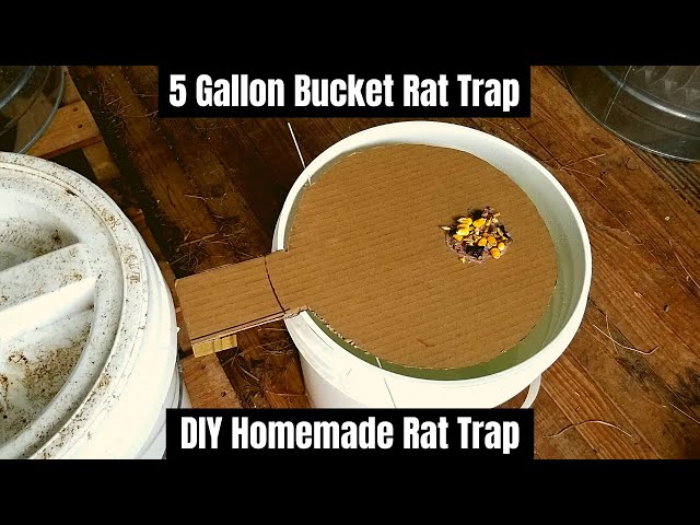  Gardenix Decor 5 Gallon Bucket Lid Mouse Rat Trap 4