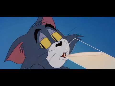 Tom and Jerry cartoon episode 103 - Blue Cat Blues 1956 - Funny animals cartoons for kids