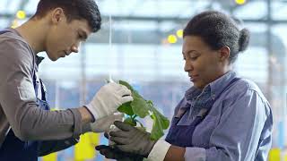Goal 8: DECENT WORK & ECONOMIC GROWTH. UN Sustainable Development Goals (SDGs) Agenda 2030 explained