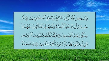 سورة آل عمران (الآية 130 ~ الآية 148) - ماهر بن حمد المعيقلي