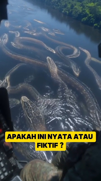 Kejadian Aneh ? penampakan ular raksasa di sungai amazon